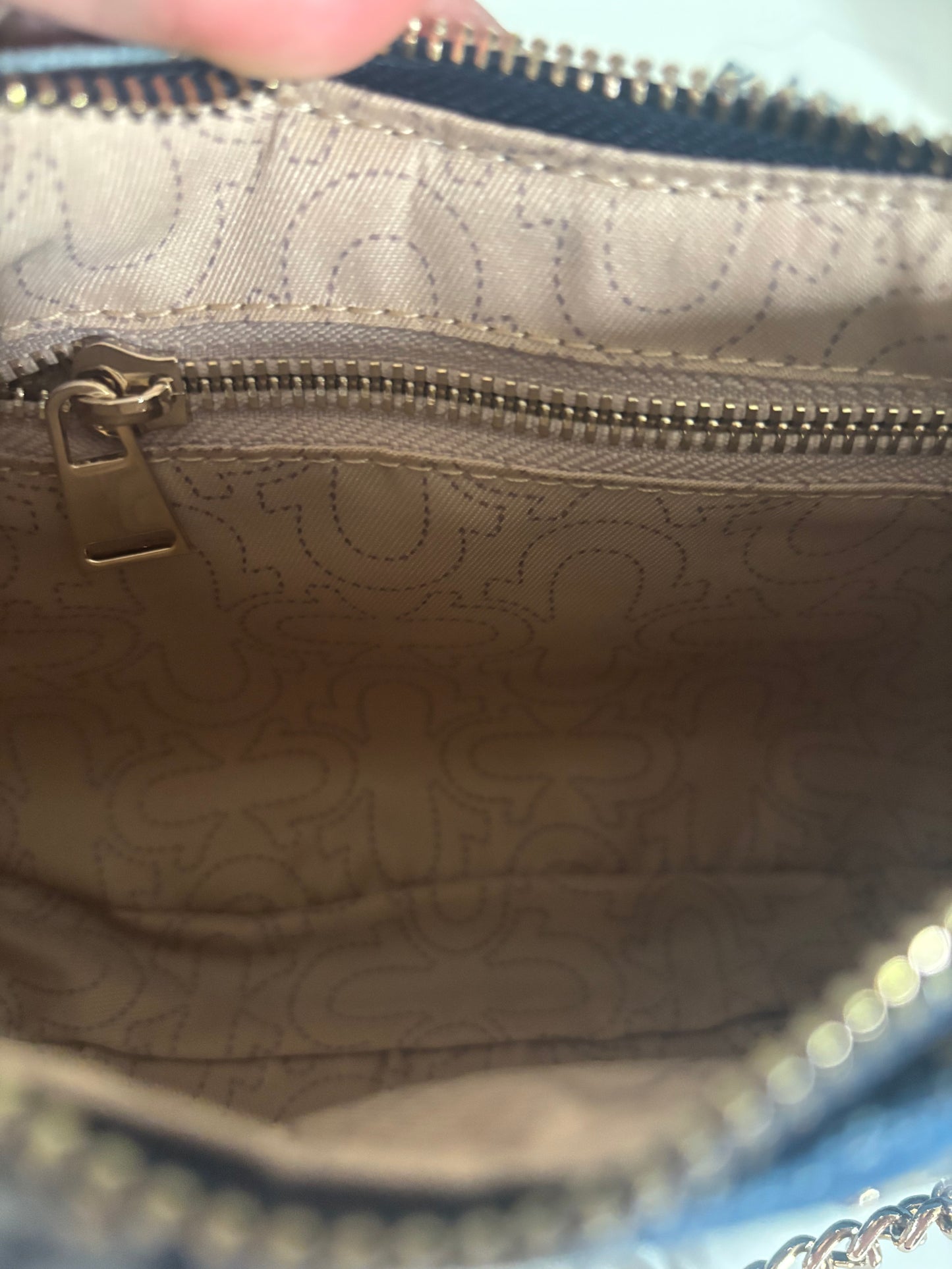 True Religion Bag